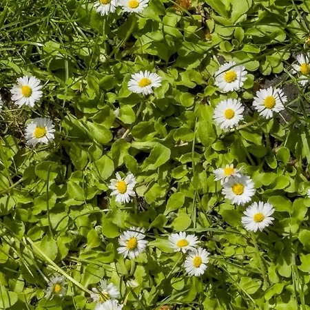 Konarskiego Blisko Jeziora Maltanskiego By Renters *